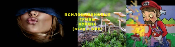 ECSTASY Абаза