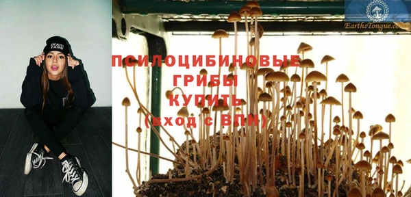 ECSTASY Абаза
