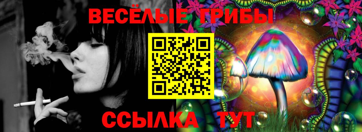 Фурманов  Галлюциногенные грибы Psilocybe  Вход с VPN 